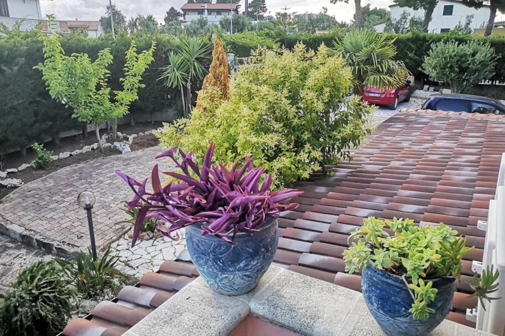 Villa Arenella Весте Екстериор снимка